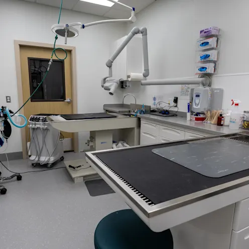 Dental Suite Dental Suite