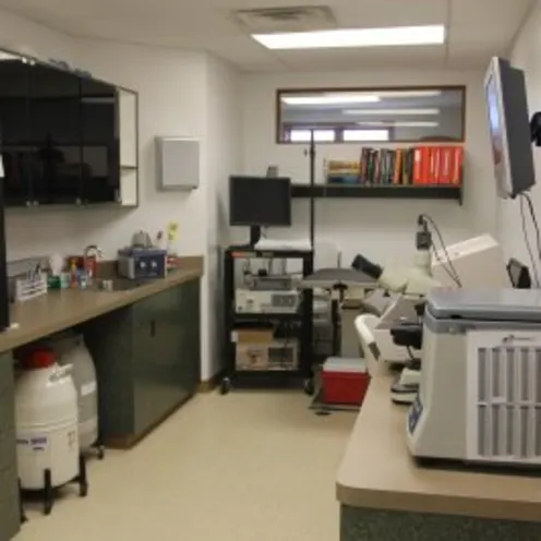 Room in Animal Hospital of Woodstock Room in Animal Hospital of Woodstock