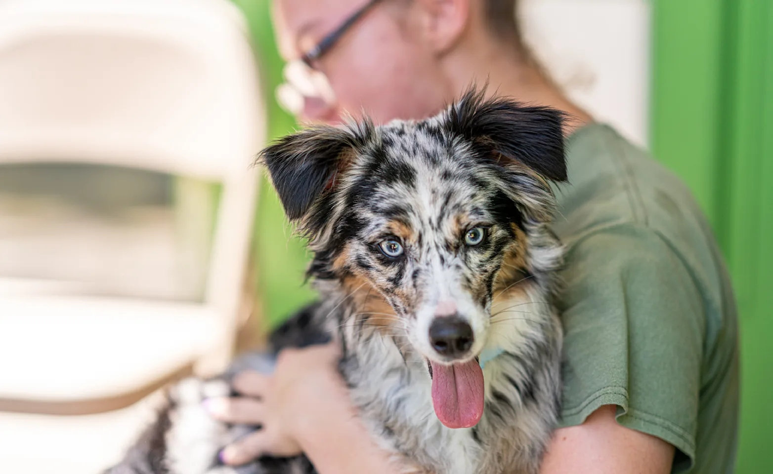 Woman holding dog on lap