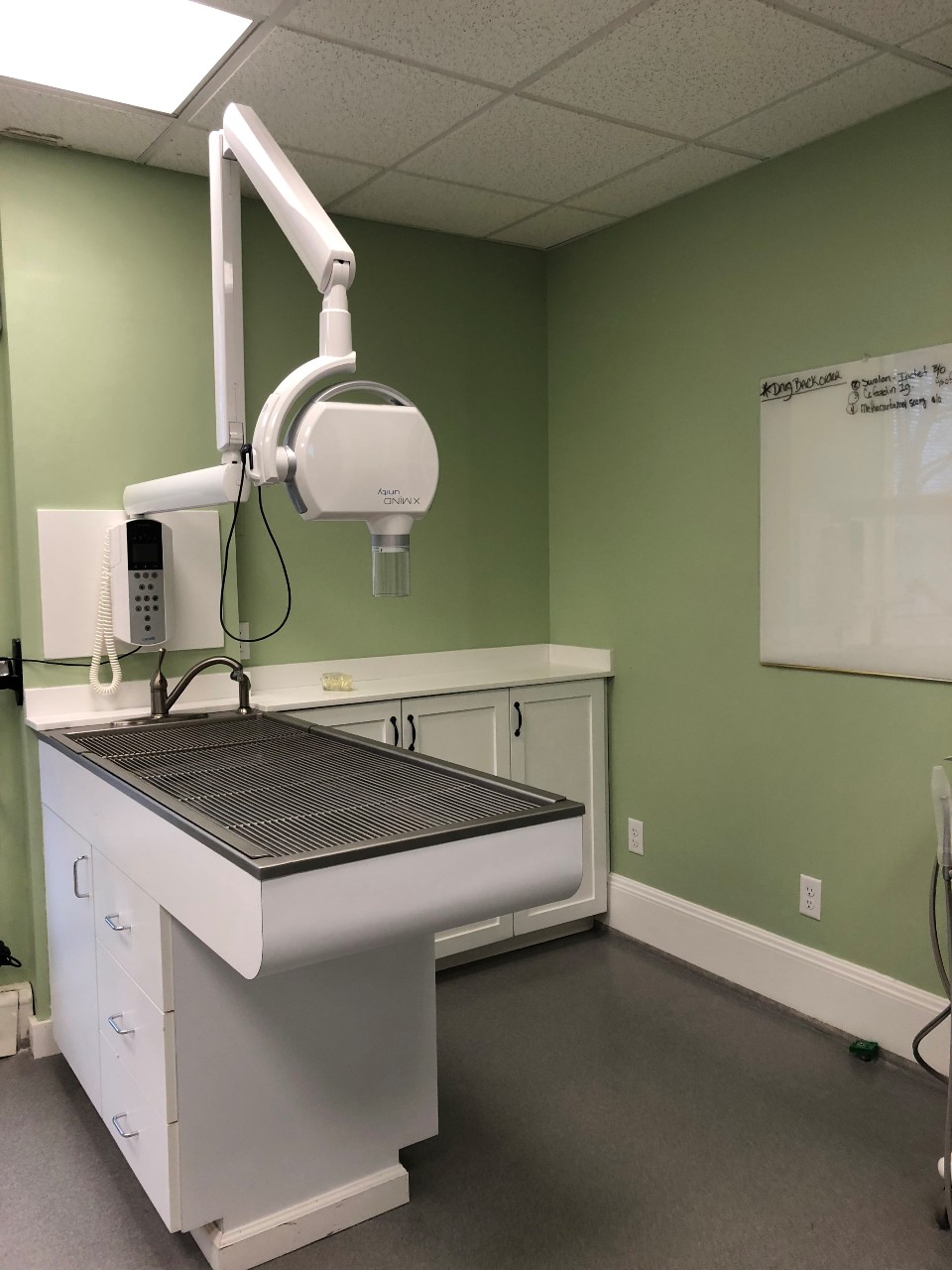 Dental room and equipment at Court Street Animal Hospital