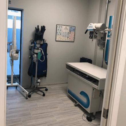 Longwood Animal and Pet Resort 