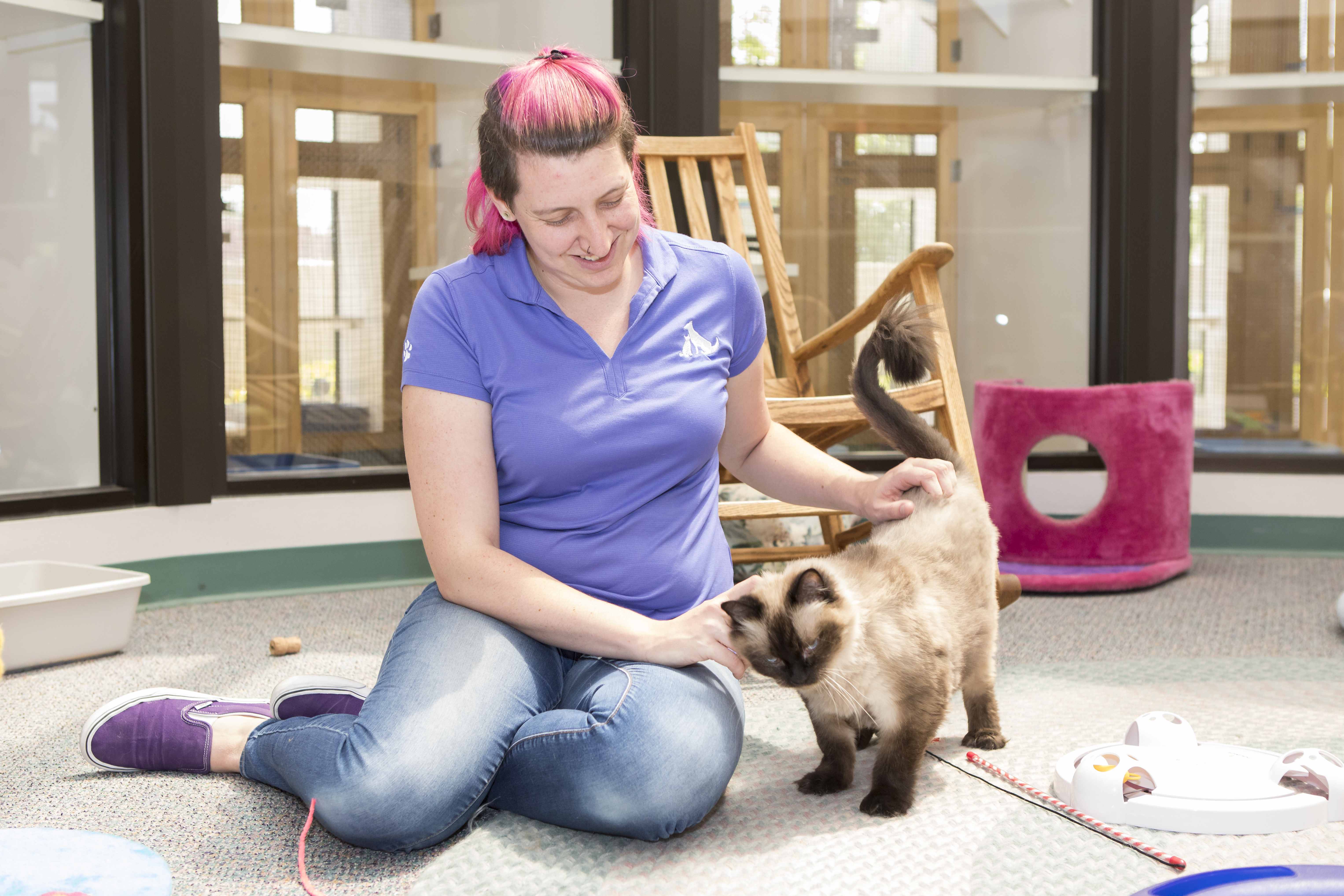 Dog & Cat Boarding in Albuquerque, NM