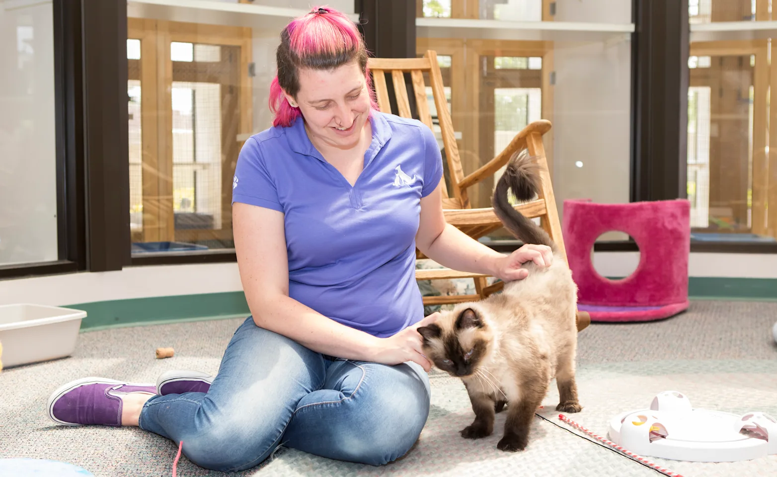 Woman playing with cat Woman playing with cat