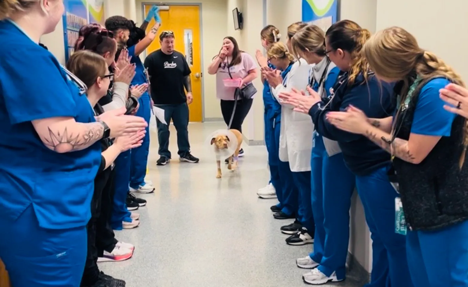 Dog walking through hallway with happy vets Dog walking through hallway with happy vets