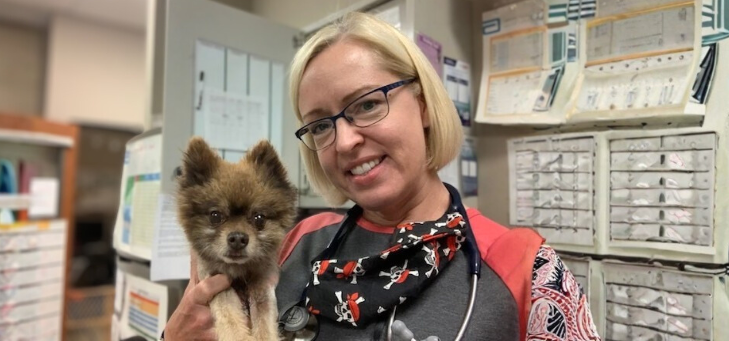 Meet Dr. Neuman: Mentoring new vets with love, laughter and wisdom