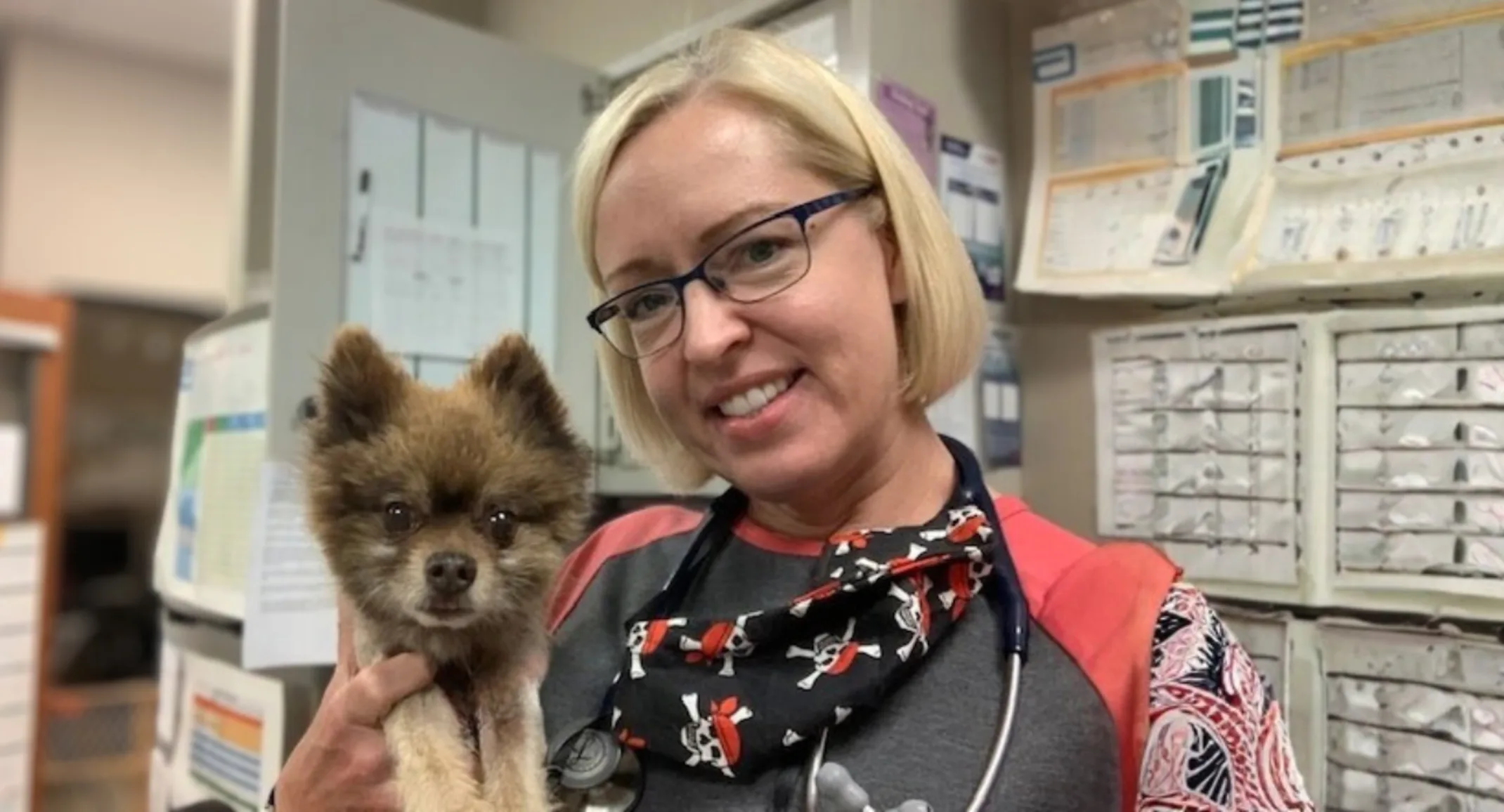 Meet Dr. Neuman: Mentoring new vets with love, laughter and wisdom Meet Dr. Neuman: Mentoring new vets with love, laughter and wisdom