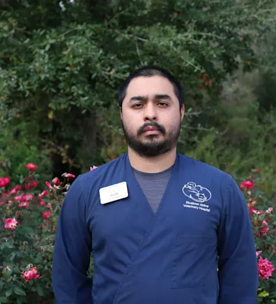 Juan at Stuebner Airline Veterinary Hospital Juan at Stuebner Airline Veterinary Hospital