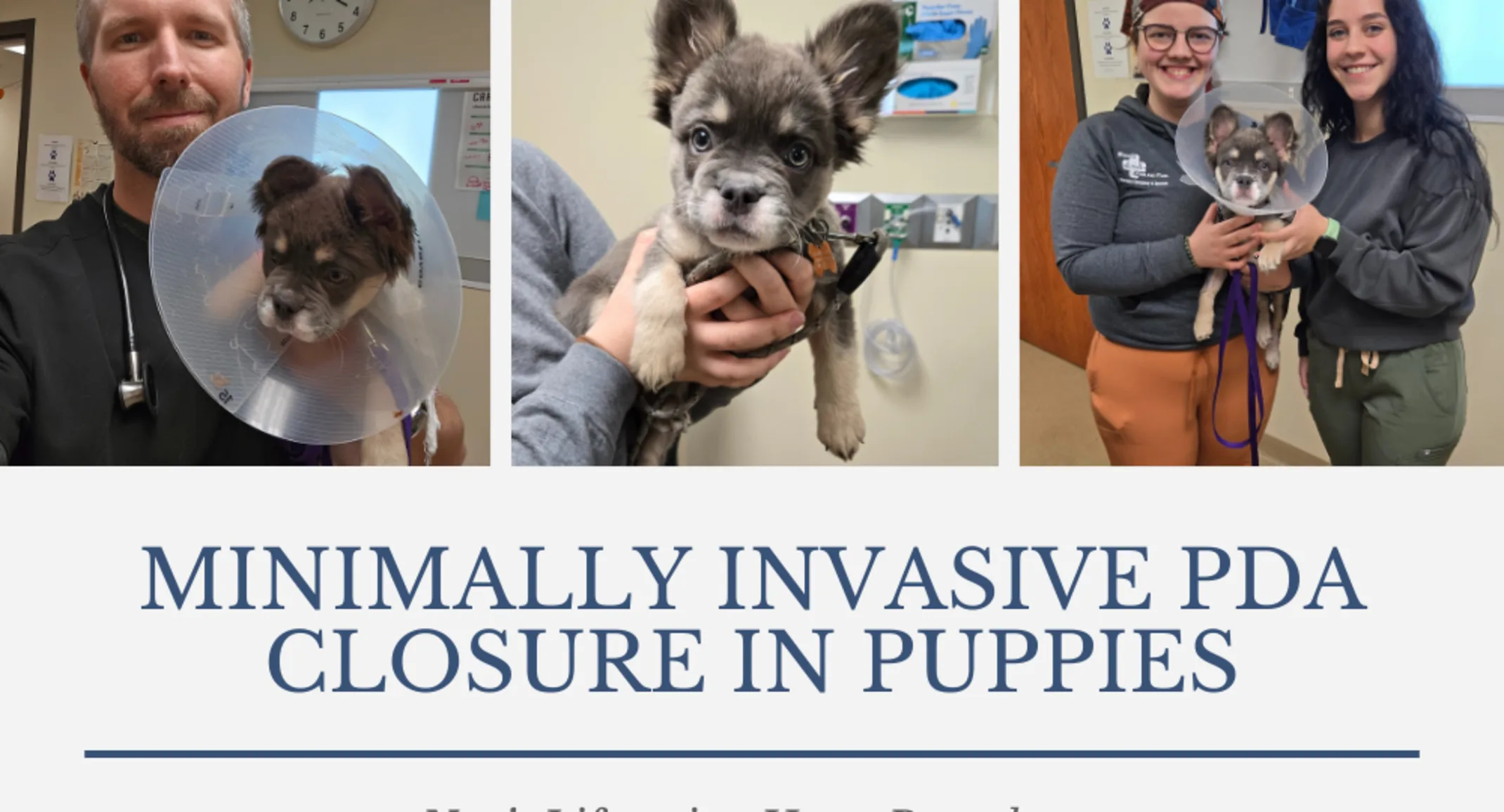 Nyx's lifesaving heart procedure Nyx's lifesaving heart procedure