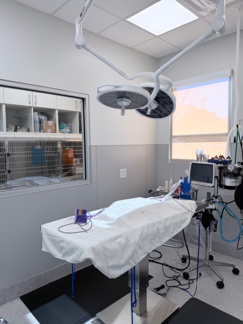 Surgery Room