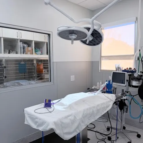 Surgery Room Surgery Room