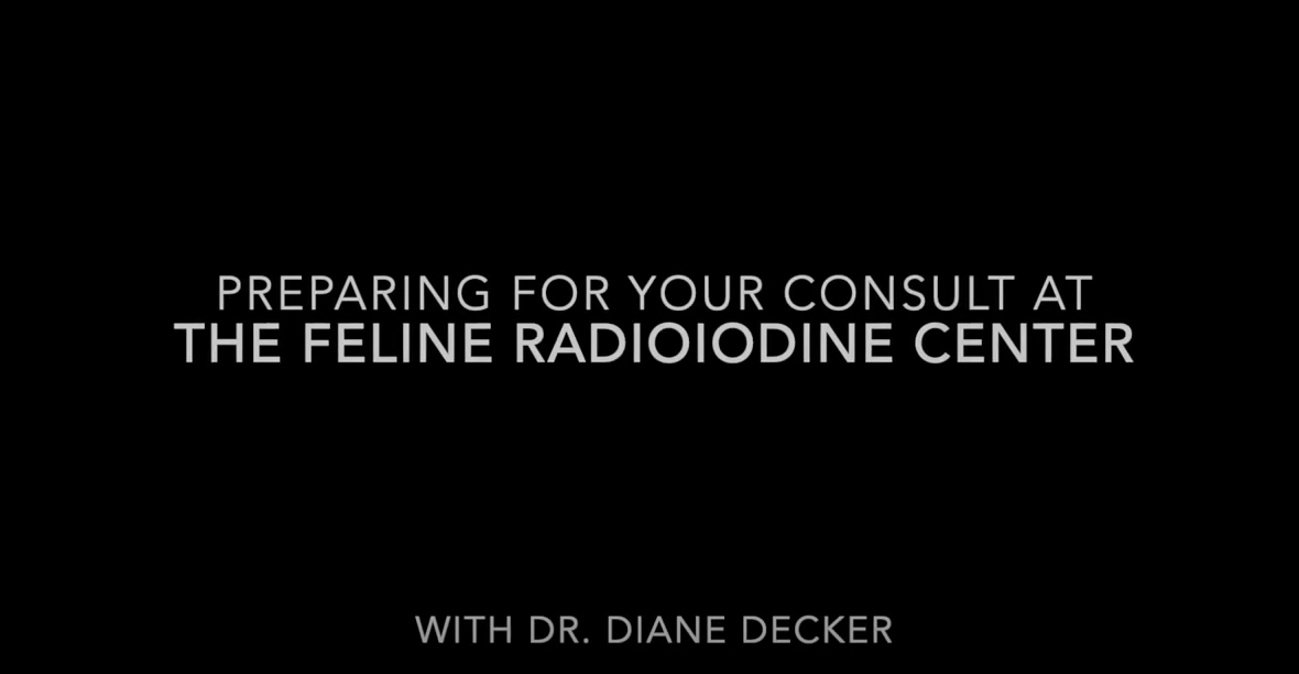 Preparing For Your Consult At The Feline Radioiodine Center with Dr. Diane Decker