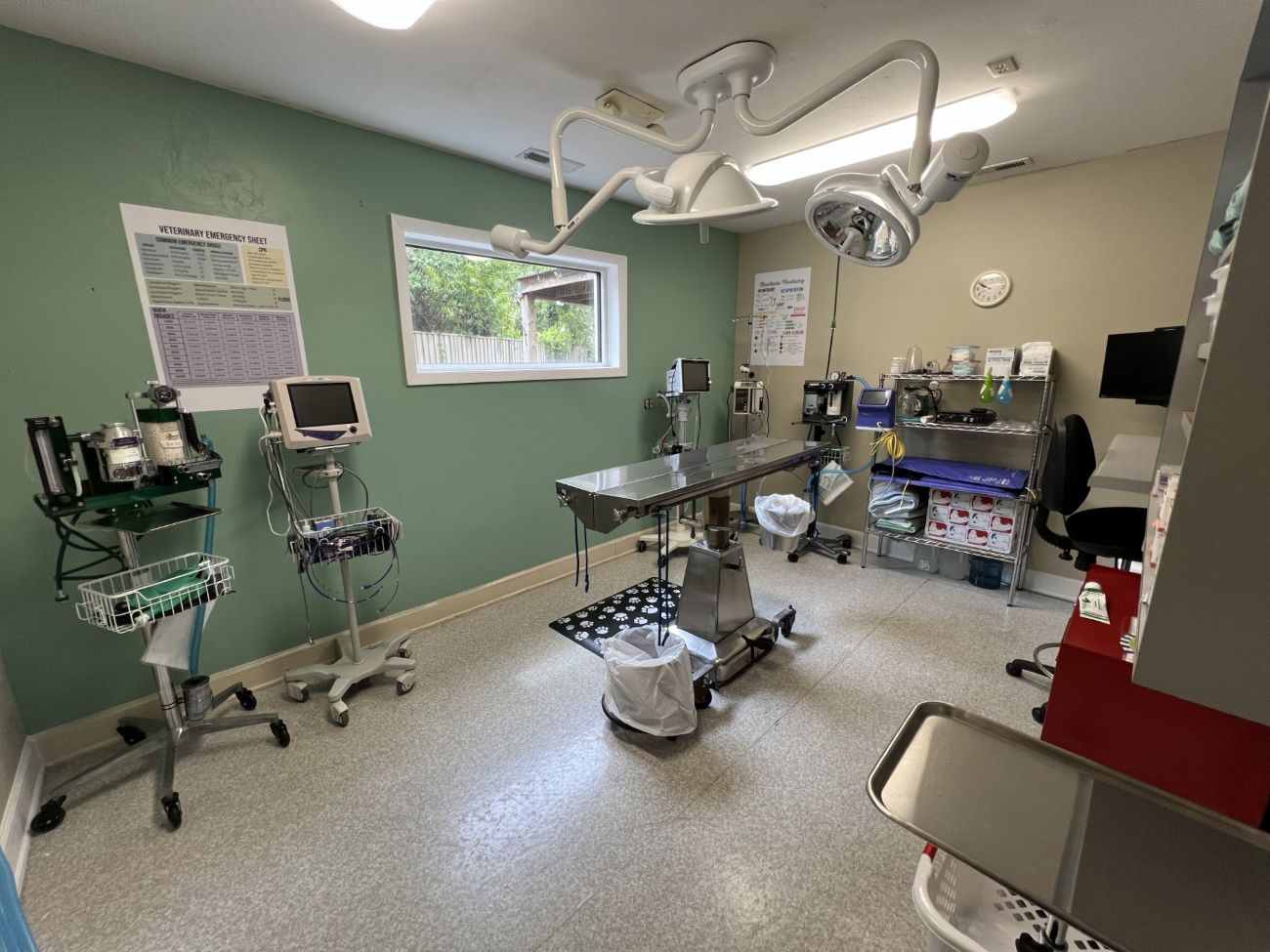 Surgery Room at Hanover Regional Animal Hospital