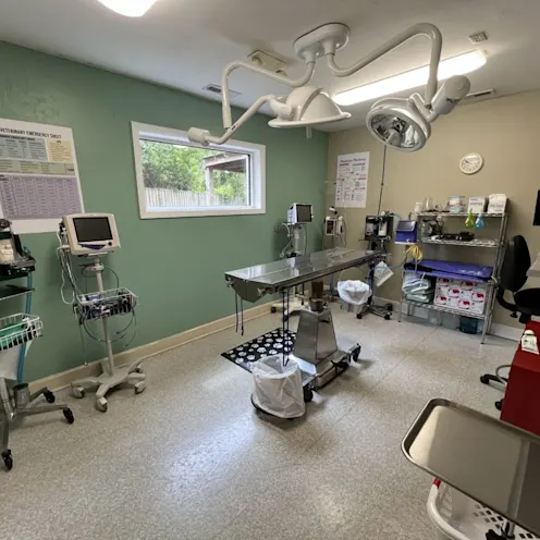 Surgery Room at Hanover Regional Animal Hospital Surgery Room at Hanover Regional Animal Hospital