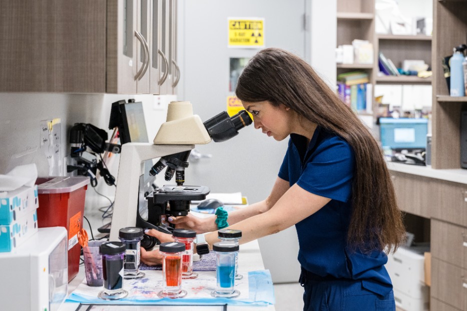 Staff Member Looking Through Microscope