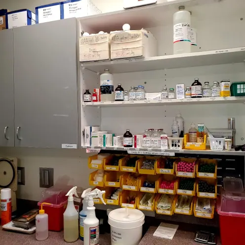 ICU Counter with medication at New England Animal Medical Center