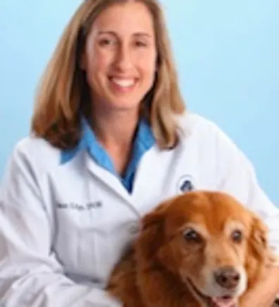 Dr. Alison Edge Dr. Alison Edge