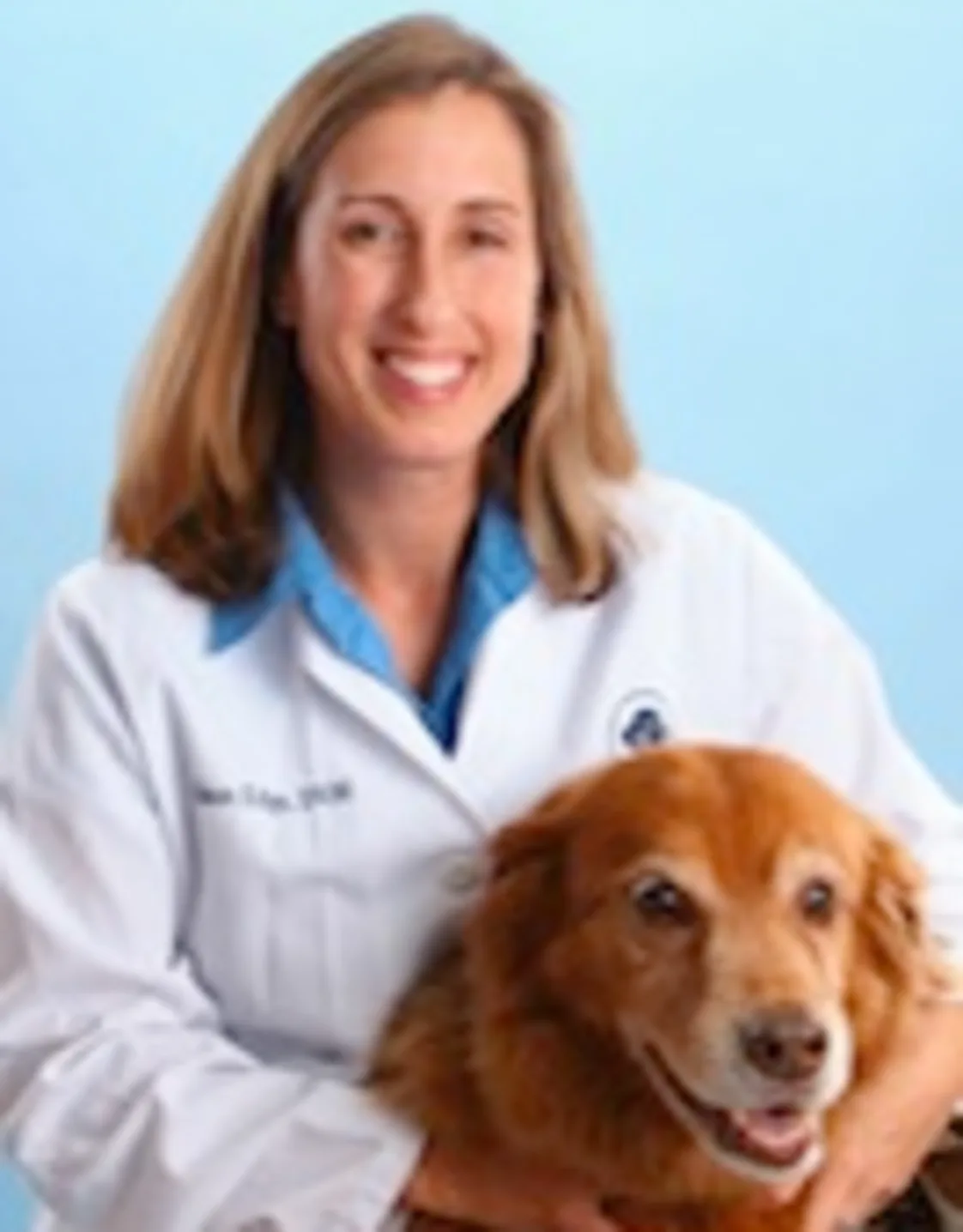 Dr. Alison Edge Dr. Alison Edge