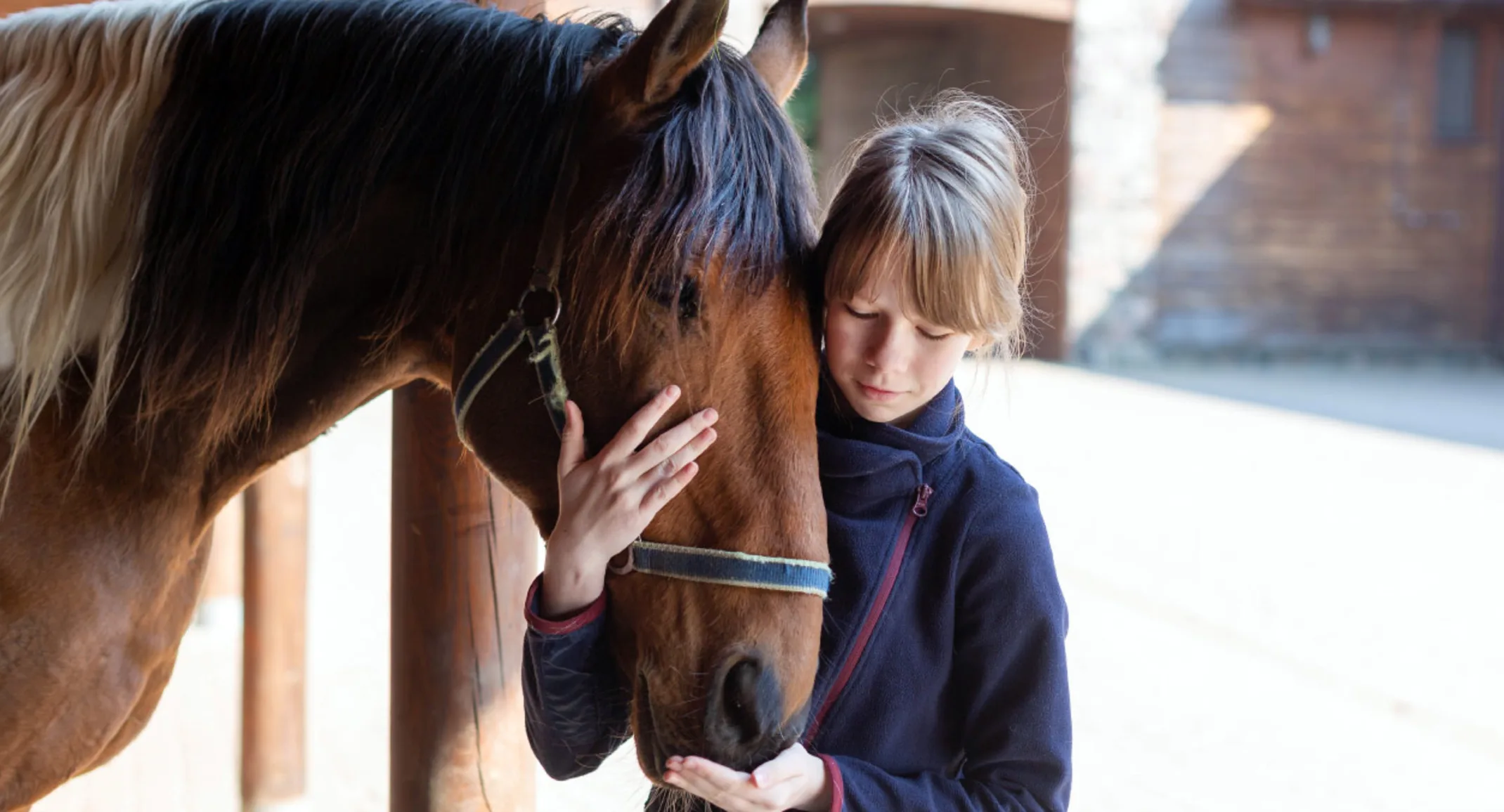 Girl Feeding Horse 