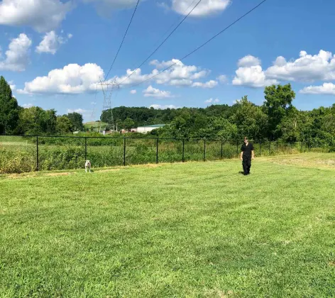 A large green fenced area where a Taylor Animal Hospital veterinary staff is walking with a large dog in the distance