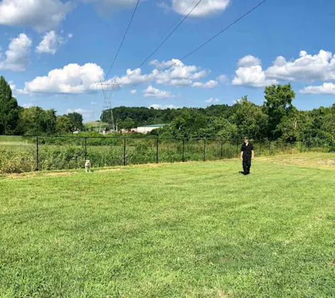 A large green fenced area where a Taylor Animal Hospital veterinary staff is walking with a large dog in the distance