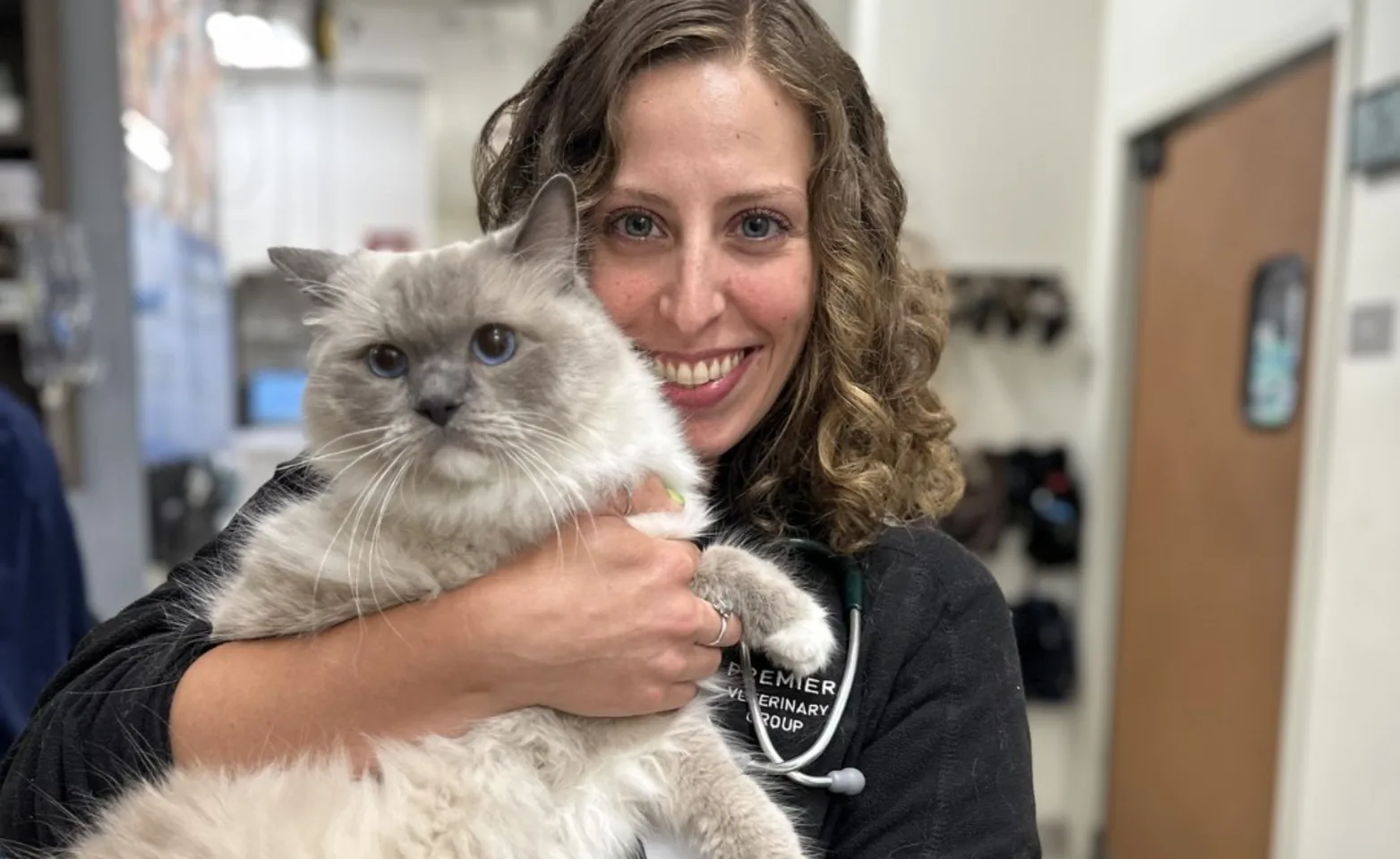 Vet holding a large white cat. Vet holding a large white cat.