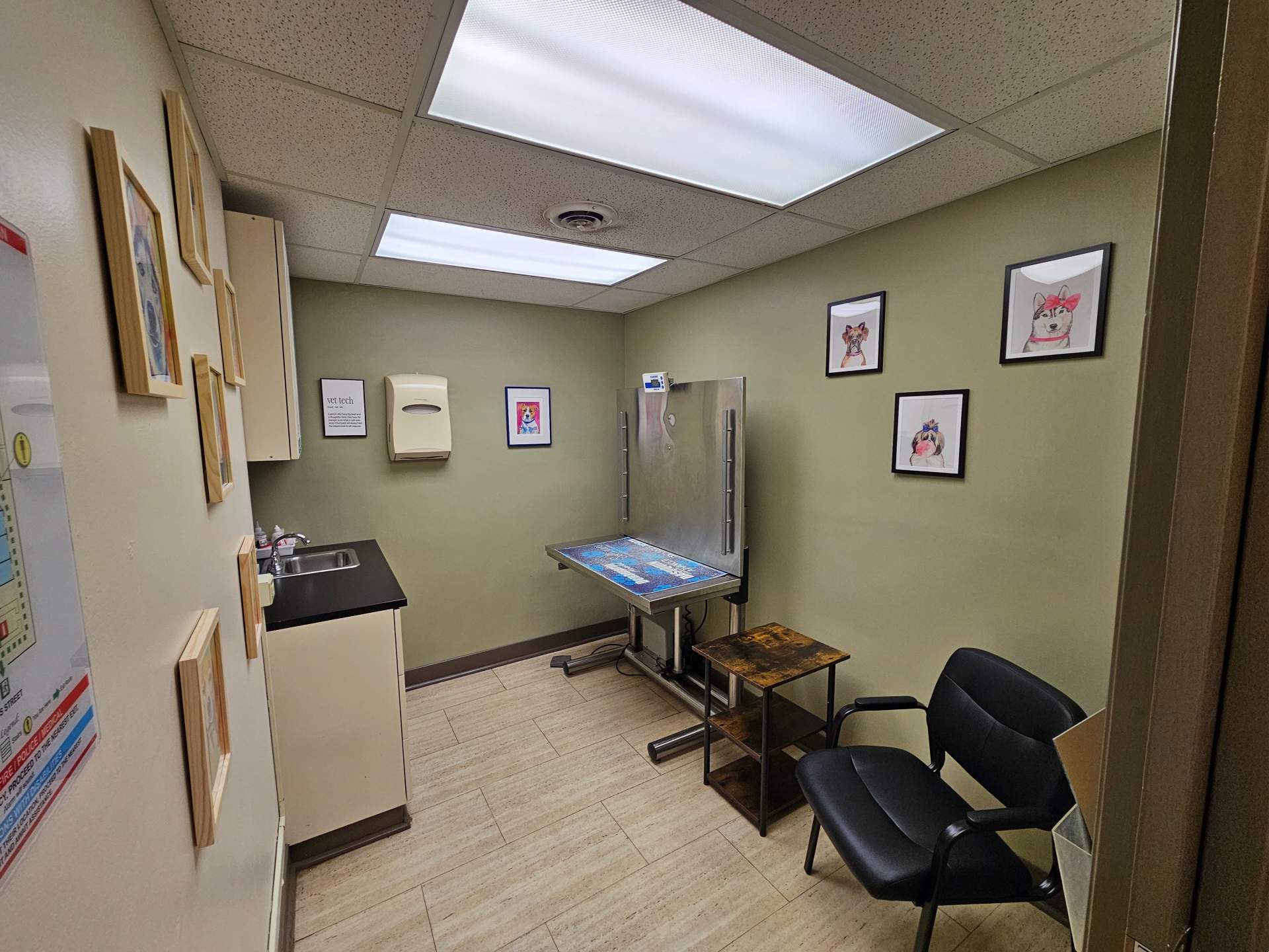 Bramer Animal Hospital Technician Room