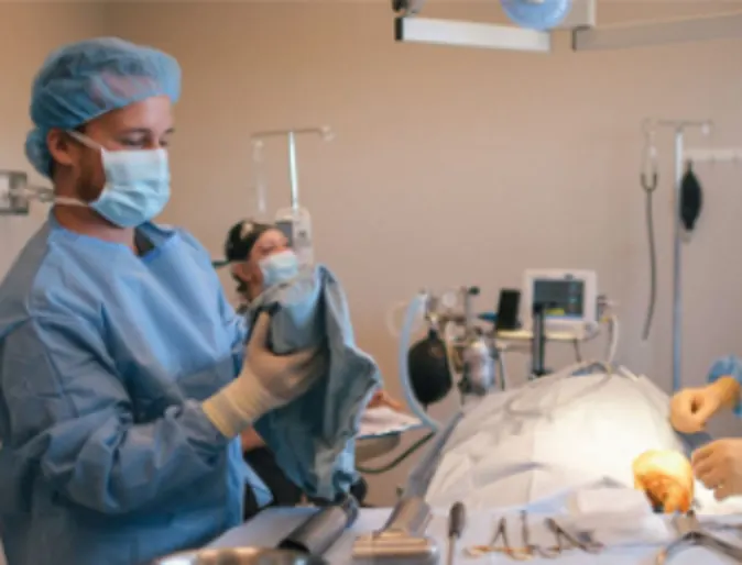 Veterinarians prepping for surgery