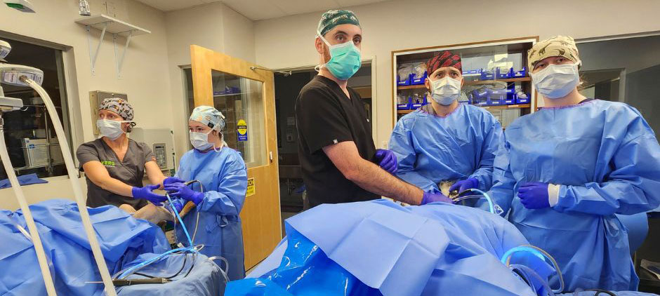 A veterinary surgical team of five in blue scrubs and masks stands around an operating table during a procedure.