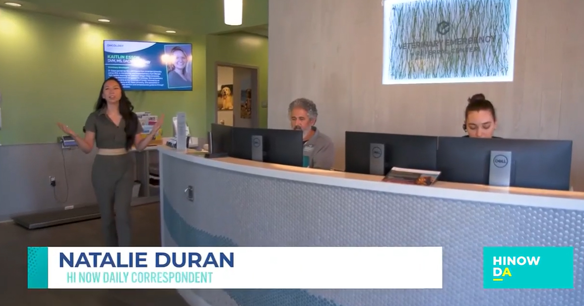 Introduction to Hawaii Daily News Segment for Veterinary Emergency and Referral Center -  Hawaii