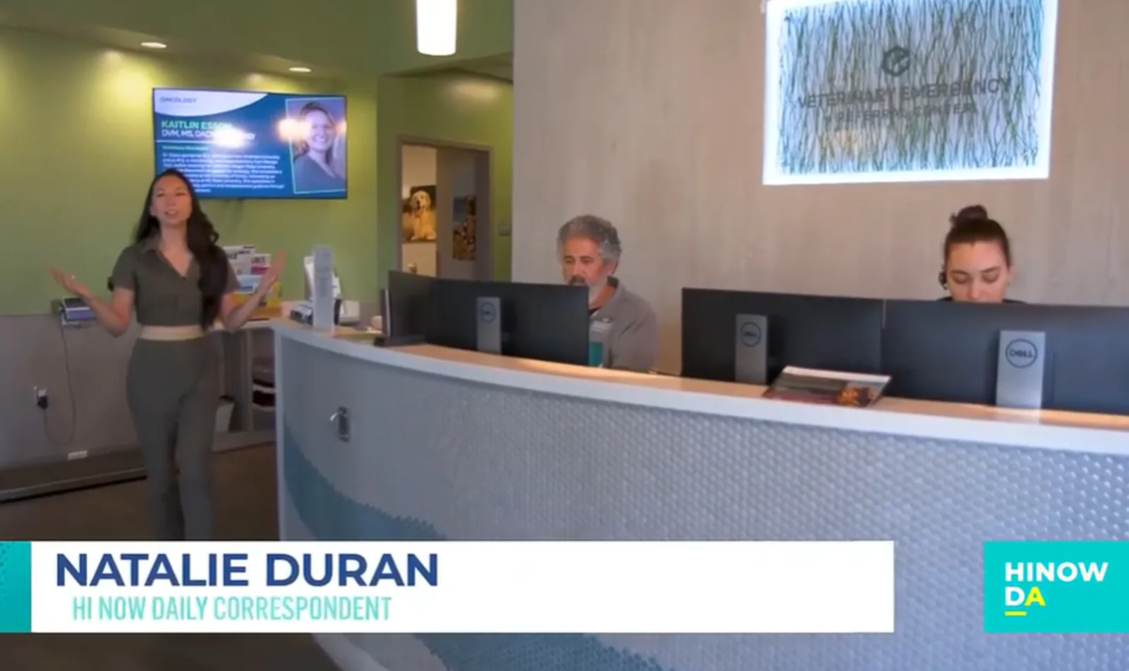 Veterinary Emergency + Referral Center of Hawaii