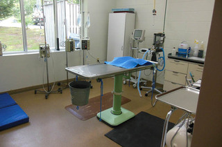 Surgical Room and table at Animal Hospital of Signal Mountain