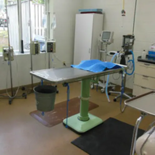 Surgical Room and table at Animal Hospital of Signal Mountain