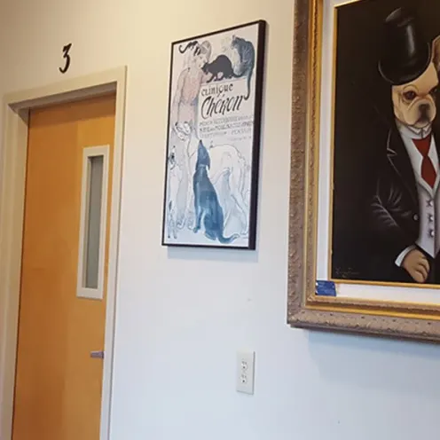 Doors and a large picture hanging at College Mall Veterinary Hospital