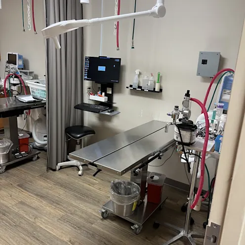 Dental Suite Room Dental Suite Room