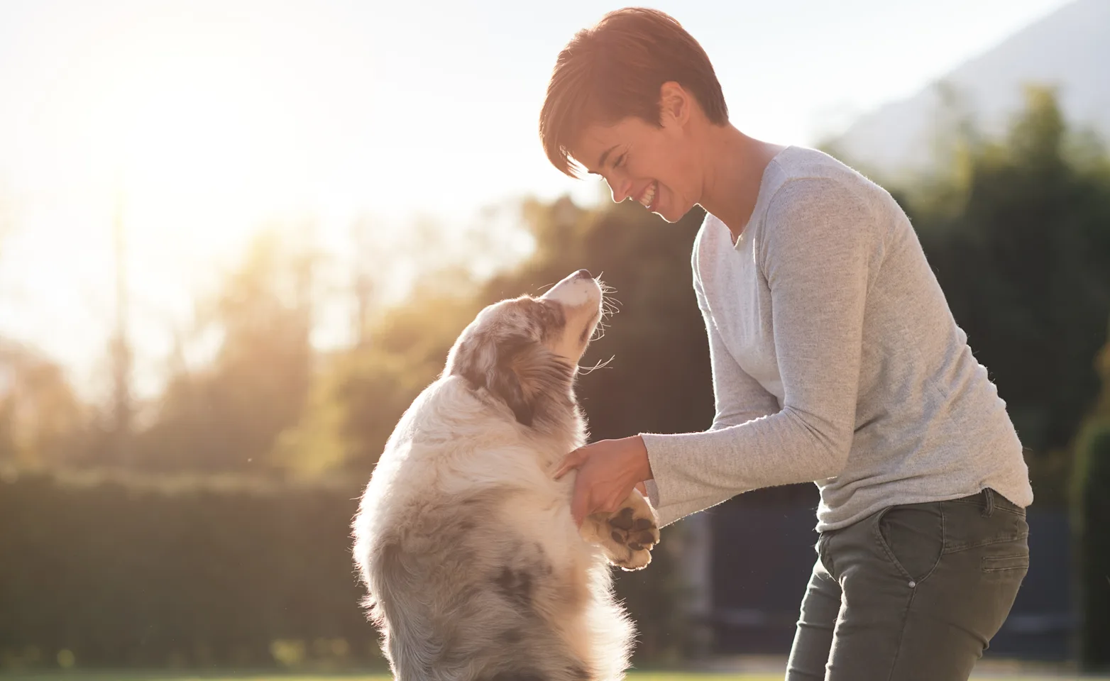 Person playing with a dog outside in the sunrise Person playing with a dog outside in the sunrise