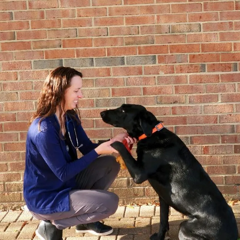 Dr. Cory Kleinmann Dr. Cory Kleinmann