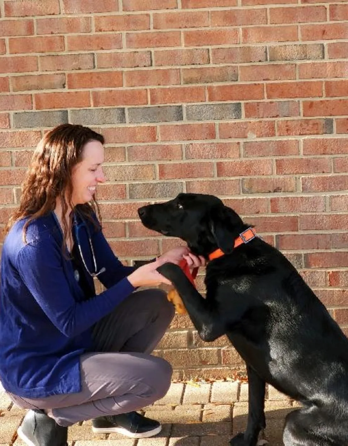 Dr. Cory Kleinmann Dr. Cory Kleinmann