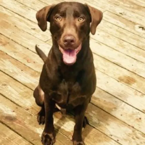 Camo Broussard Camo Broussard