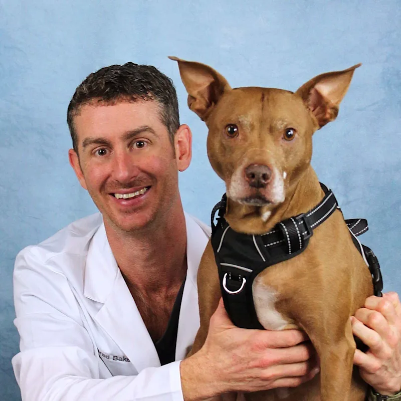 Bradley Baker Bradley Baker