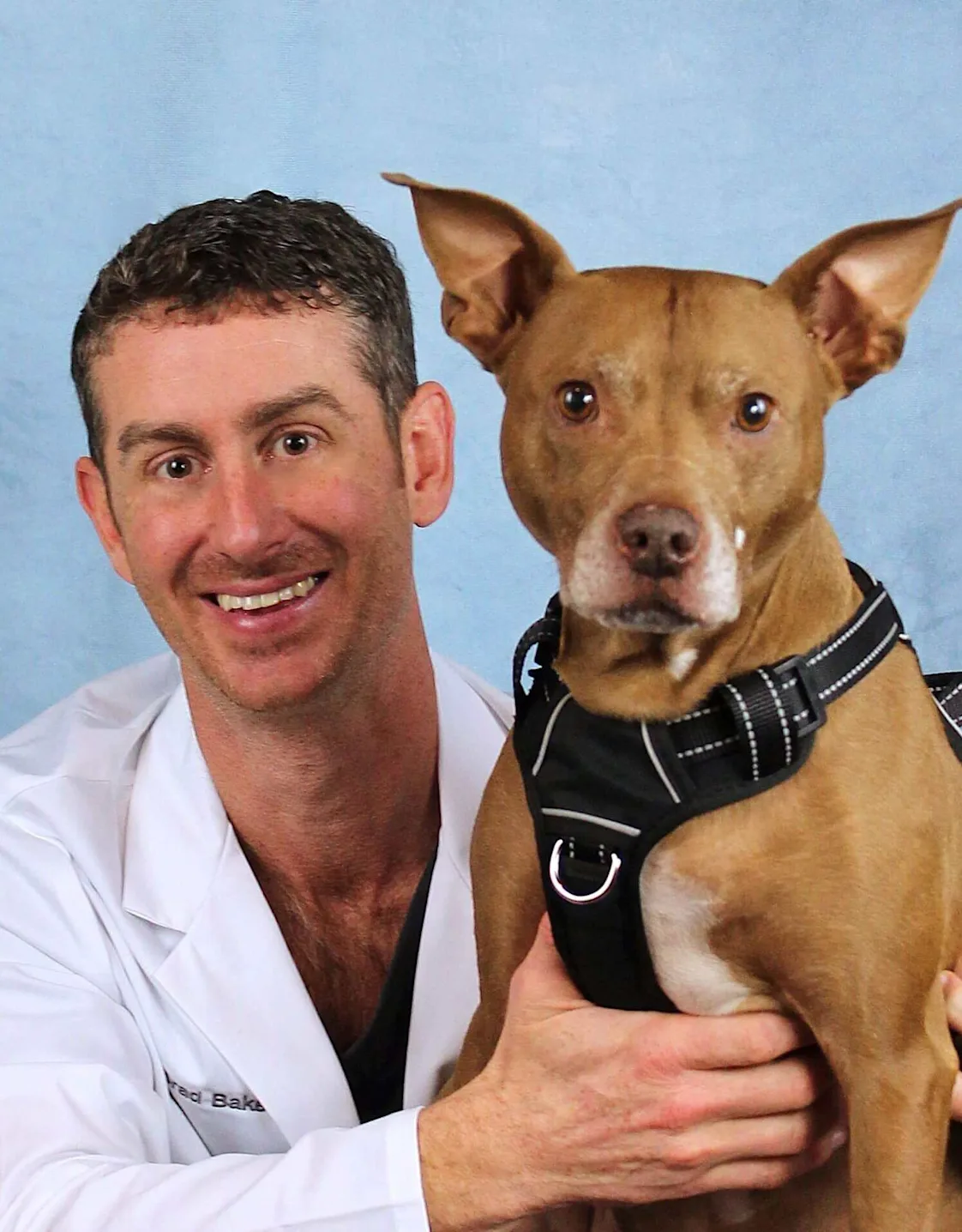 Bradley Baker Bradley Baker