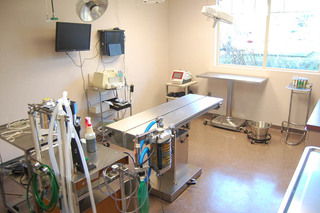 Companion Animal Hospital Exam Room