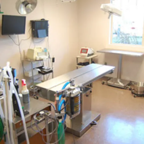 Companion Animal Hospital Exam Room