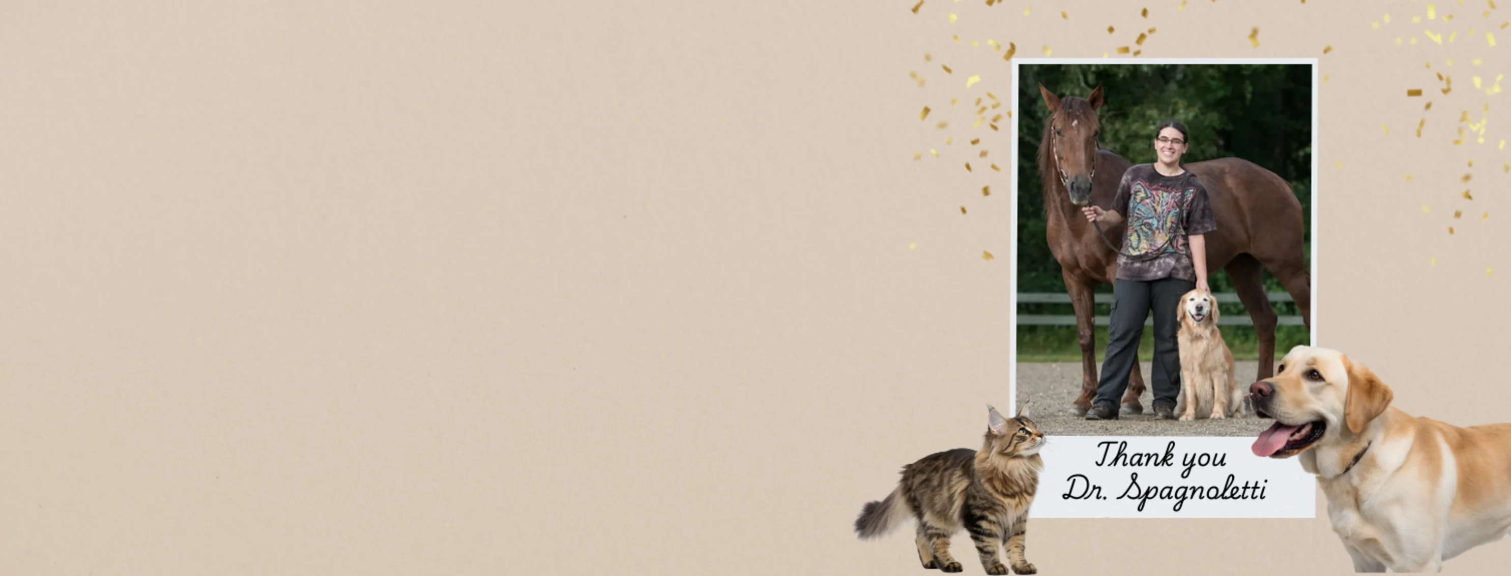 Thank You, Dr. Spagnoletti Thank You, Dr. Spagnoletti