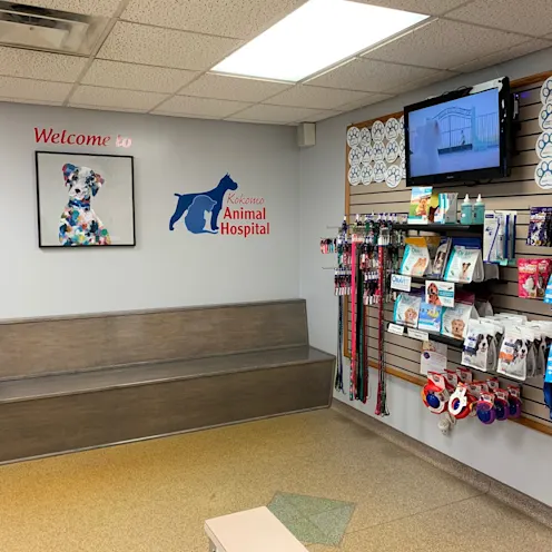 Kokomo Animal Hospital Lobby Kokomo Animal Hospital Lobby