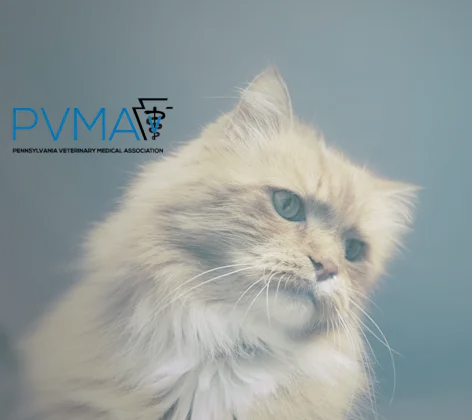 Pennsylvania Veterinary Medical Association Pennsylvania Veterinary Medical Association