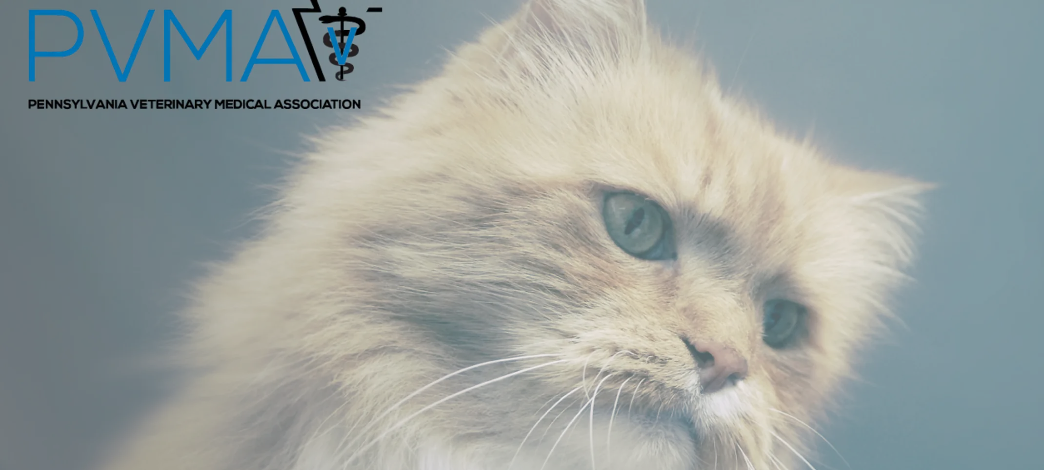 Pennsylvania Veterinary Medical Association Pennsylvania Veterinary Medical Association