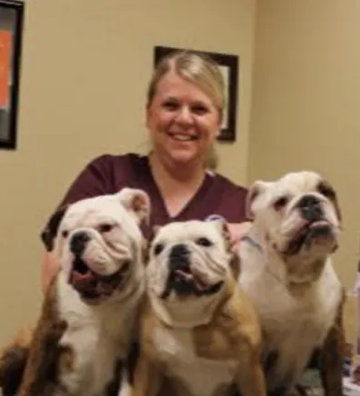 Ginny, Office Manager at Dunes Animal Hospital, with three bulldogs