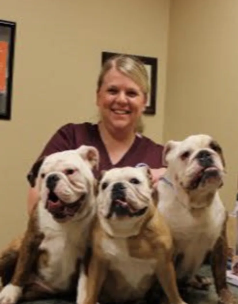 Ginny, Office Manager at Dunes Animal Hospital, with three bulldogs