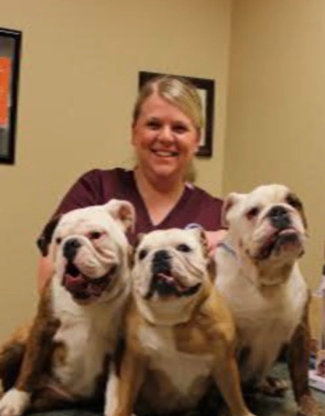 Ginny, Office Manager at Dunes Animal Hospital, with three bulldogs Ginny, Office Manager at Dunes Animal Hospital, with three bulldogs