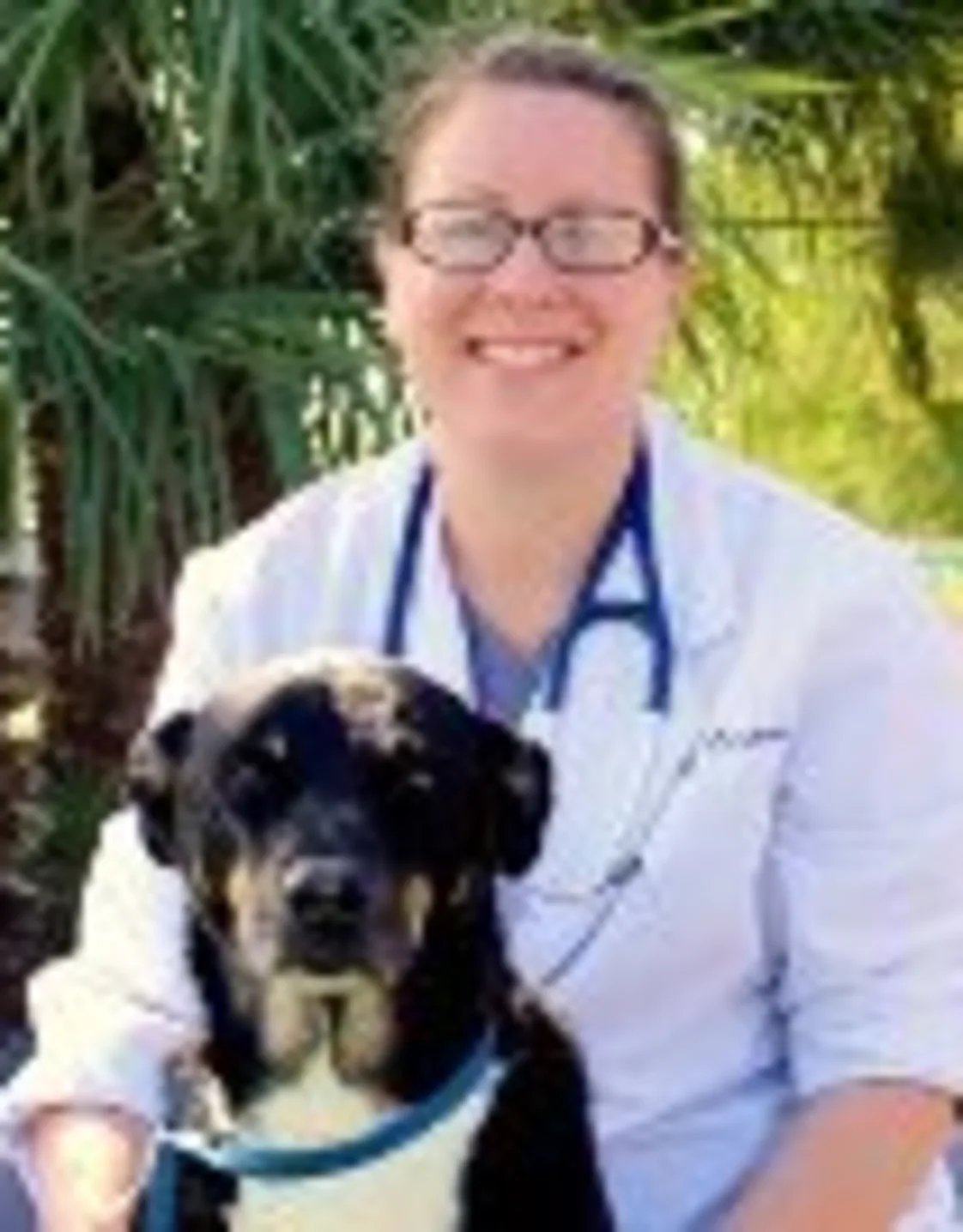 Dr. Horrax of North 10th Street Animal Hospital Dr. Horrax of North 10th Street Animal Hospital